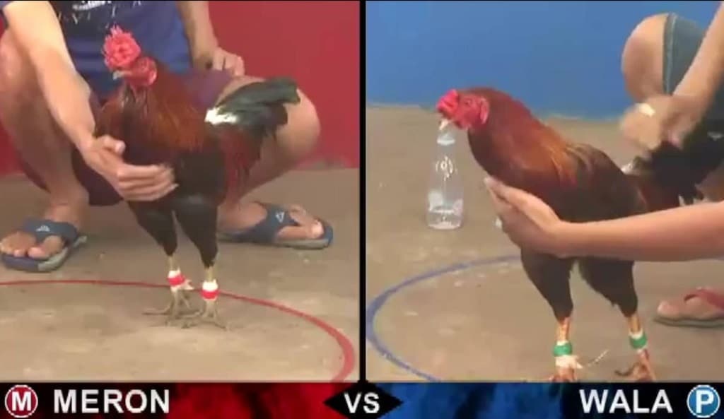 Kèo Nhà Cái